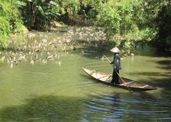 Hue Creek